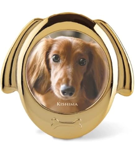 Amazon.co.jp: A4 額付き ポスター David Bowie デヴィッド・ボウイ